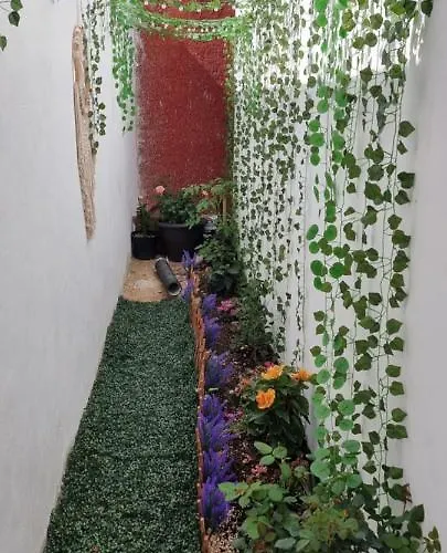 Casa Neptuno Privatunterkunft *